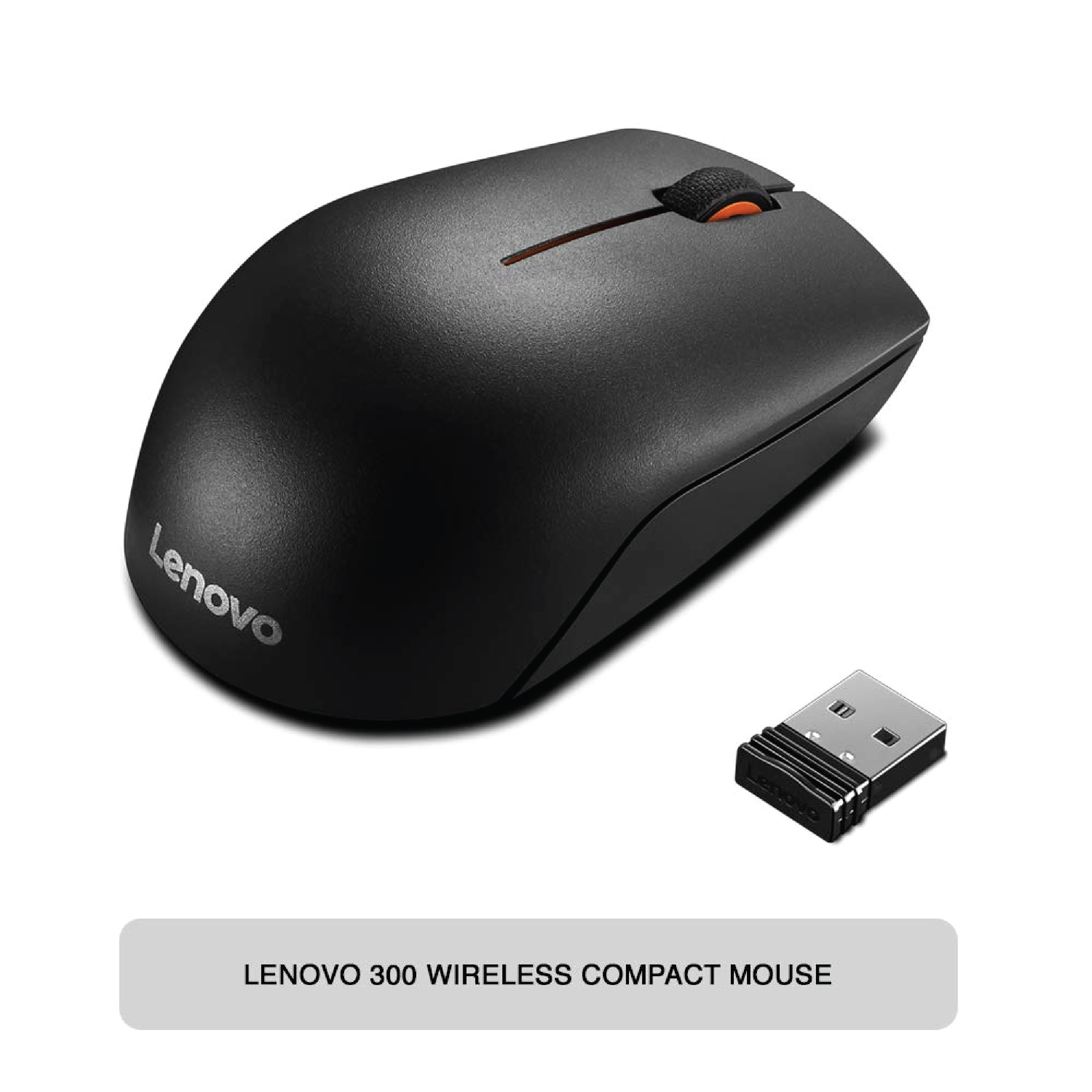 LENOVO 300 WIRELESS COMPACT MOUSE-659