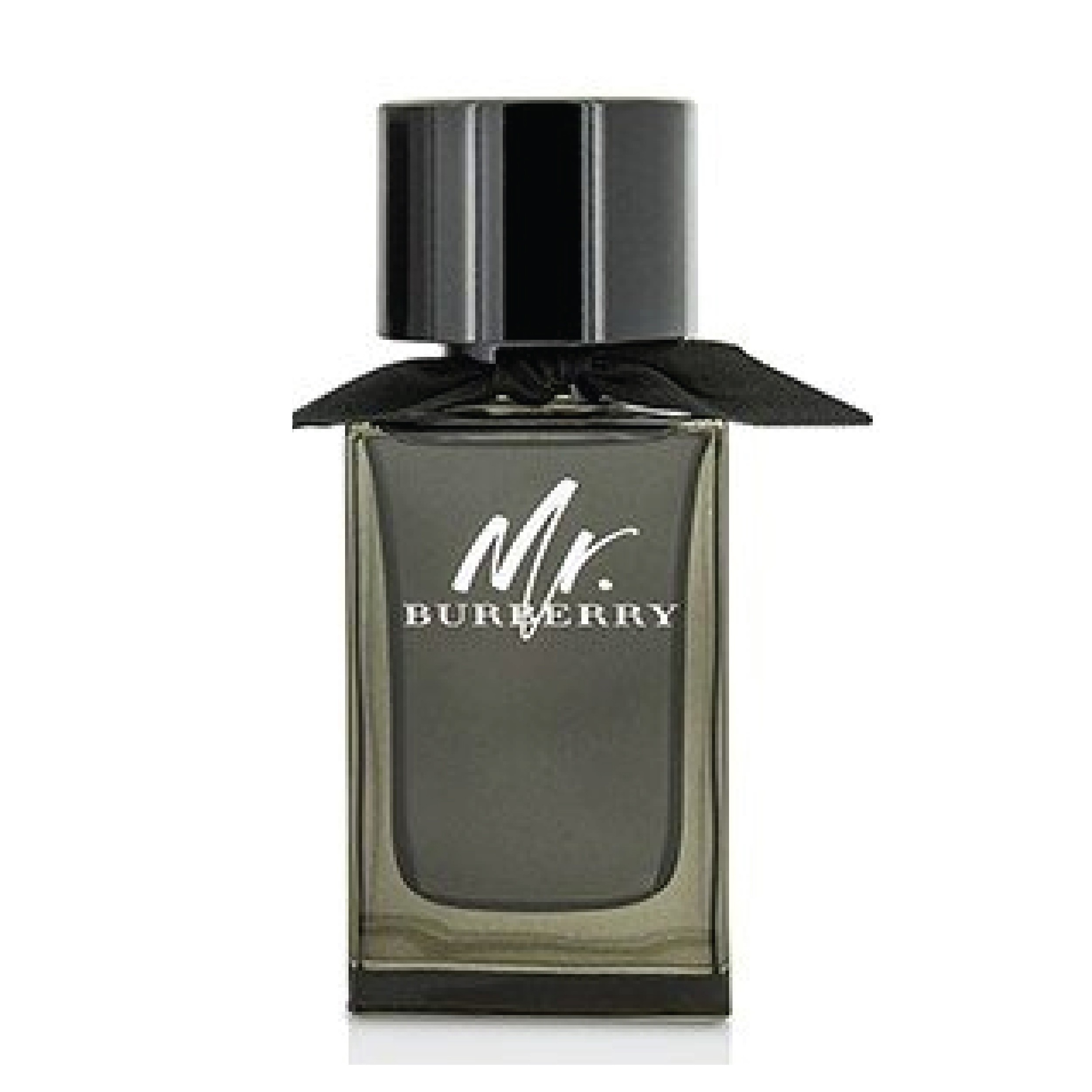 Mr.Burberry Men Eau de Perfume 100ml spray